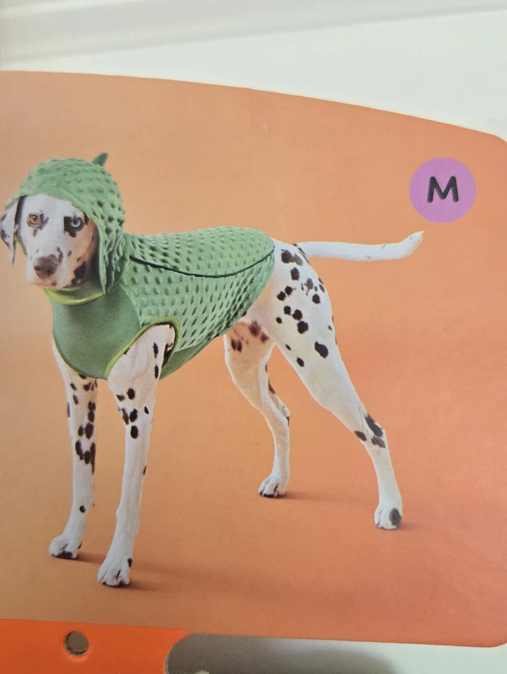 Target dog pickle